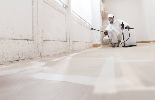 24/7 Emergency Mold Remediation experts in Beverly, NJ