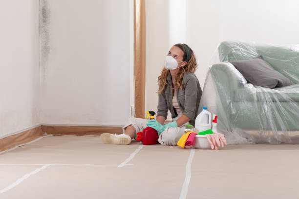 Reliable Mold Remediation contractor in Beverly, NJ by Car Mold Remediation